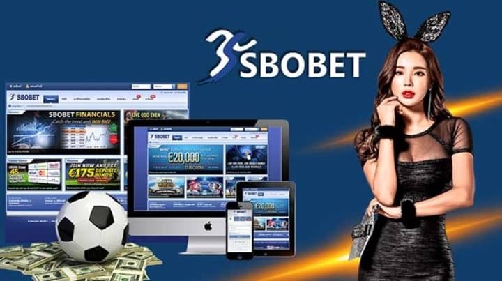 SBOBet is available on many platforms